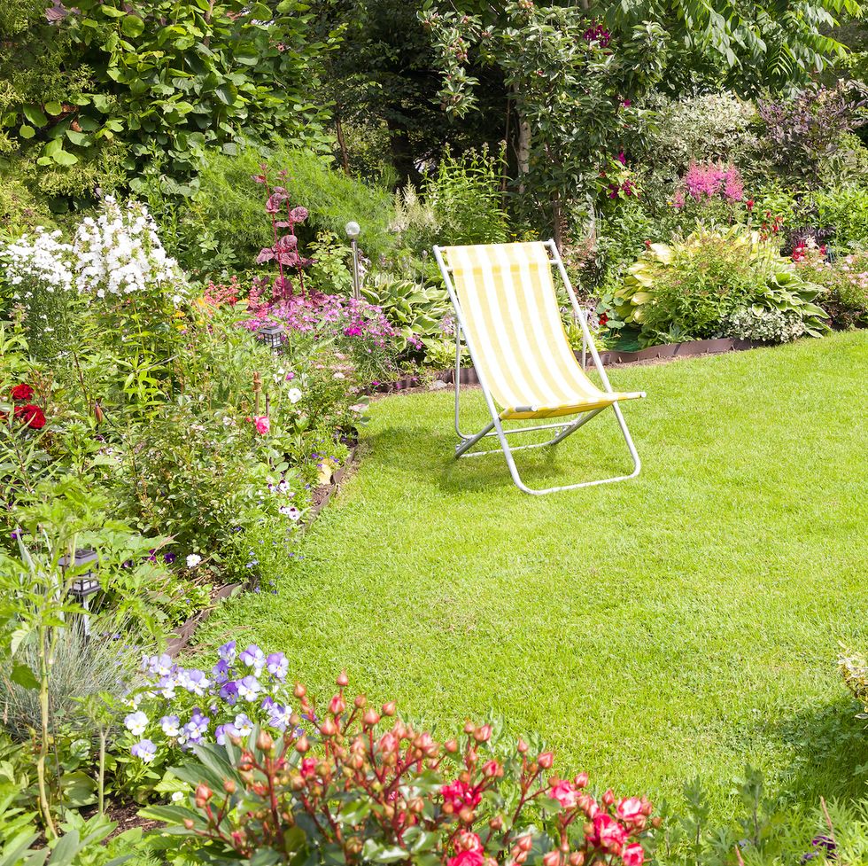 gardening jobs for june   lawn and flower garden