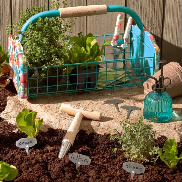 The 10 Best Cheap Gardening Tools for New Plant Parents The Real