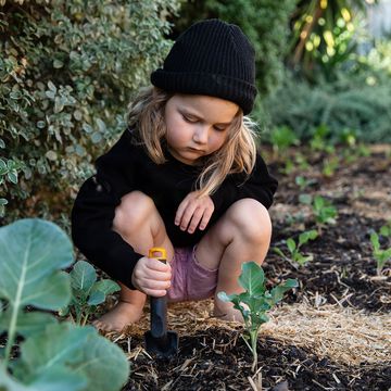 young kid digging in garden