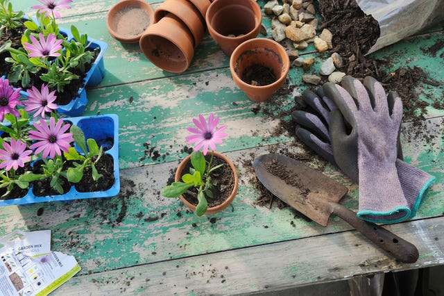 gardening trends 2021