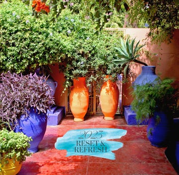 tendencias jardineria 2023
