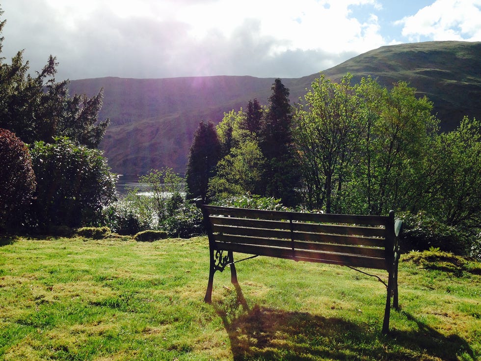 a bench sits unoccupied