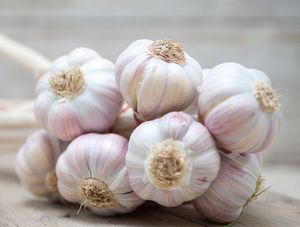 how to store garlic