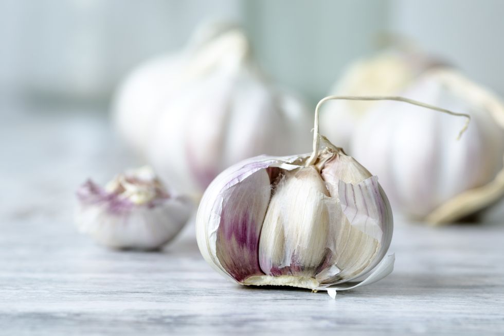Garlic bulb