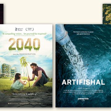 environmental documentaries, the human element, 2040, artifishal, extinction the facts