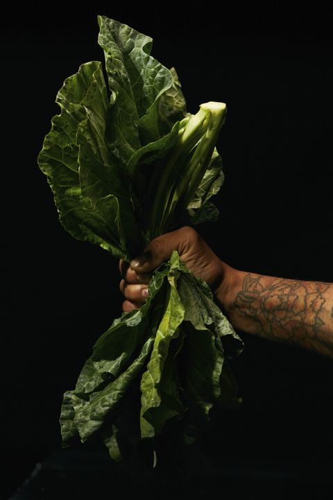 hand holding lettuce