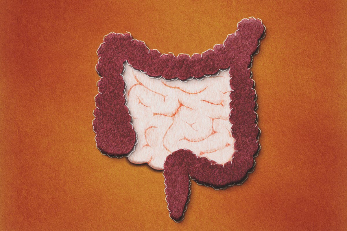 gastroenterology, healthy digestion, microbiome intestine concept