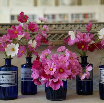 flowers in glass jars