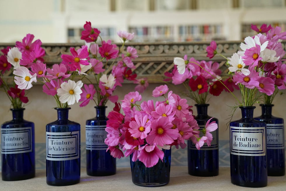 flowers in glass jars