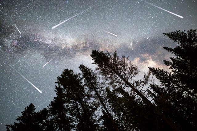 Geminids Meteor Shower 2024 The Best Time To See It