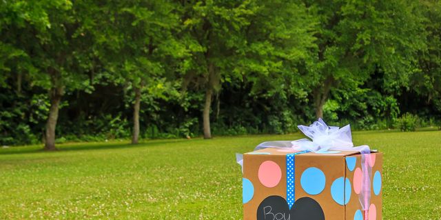 Gender reveal announcement. Joyful gift box for grandparents
