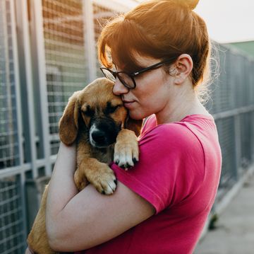 young woman adopting dog from a shelter