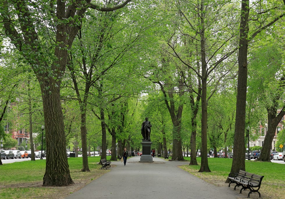 general john glover monument along the commonwealth avenue mall in boston