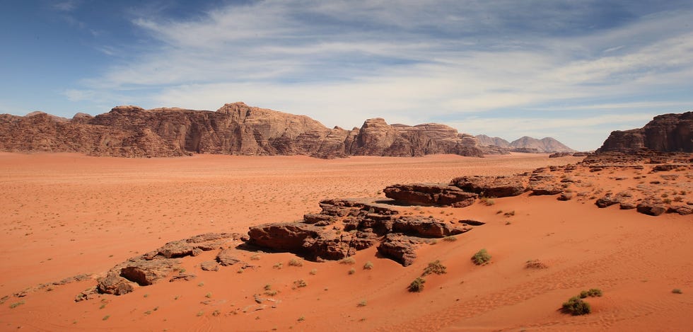 touring the petra desert