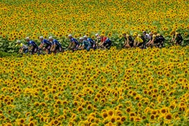 110th tour de france 2023 stage 8