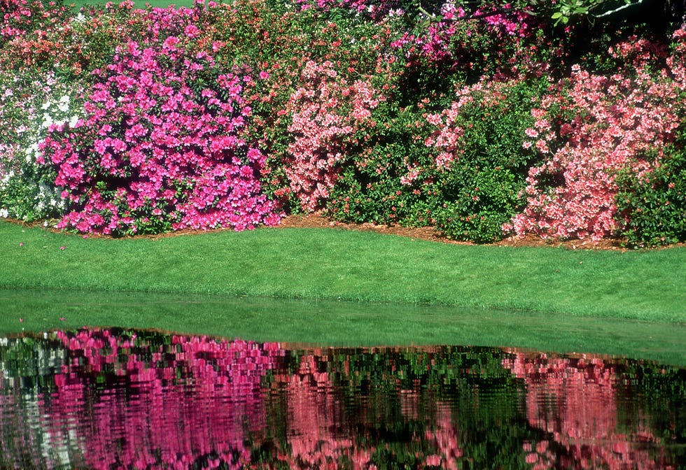 general view of the 13th hole