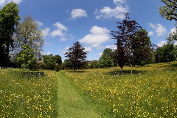 meadow gardens at highgrove house
