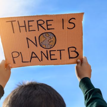 boy with unrecognizable back holding a sign towards the sky that reads there is no planet b concept of a climate change protest