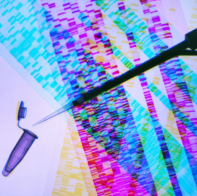 genetic research, pipette and dna samples on dna autoradiogram illustrating research into life sciences and genetic modification