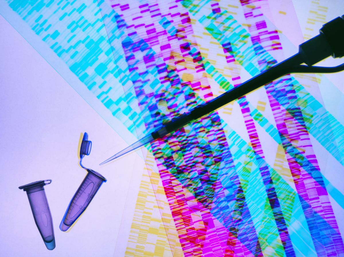 genetic research, pipette and dna samples on dna autoradiogram illustrating research into life sciences and genetic modification