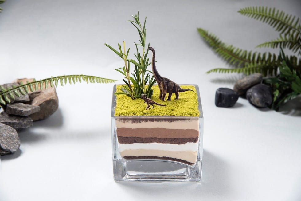 Houseplant, Dinosaur, Tree, Plant, Room, 