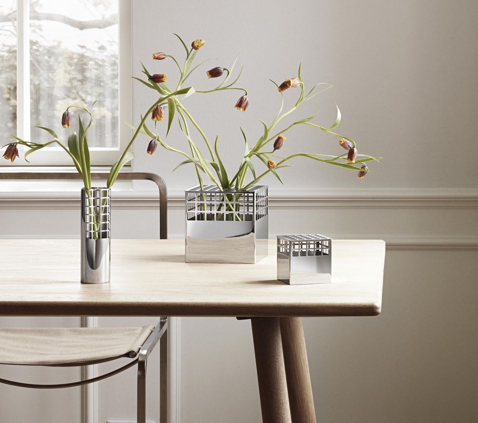 White, Flower, Room, Furniture, Table, Plant, Branch, Twig, Interior design, Flowerpot, 