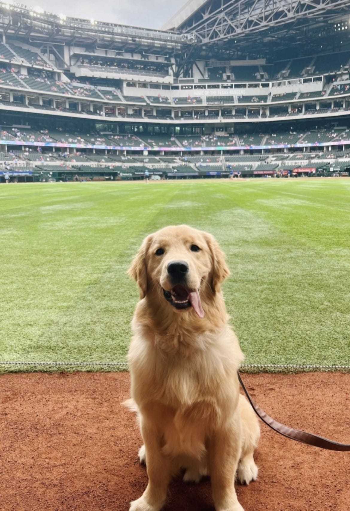 Bark at The Park 2019 - Texas Rangers Dog Parade at Globe Life Park 