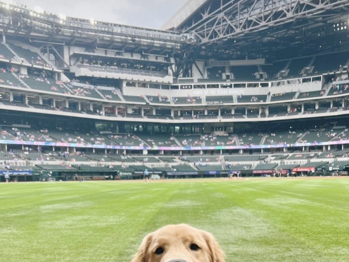 See Alex Drummond take George to a 'Bark at the Park' Baseball Game