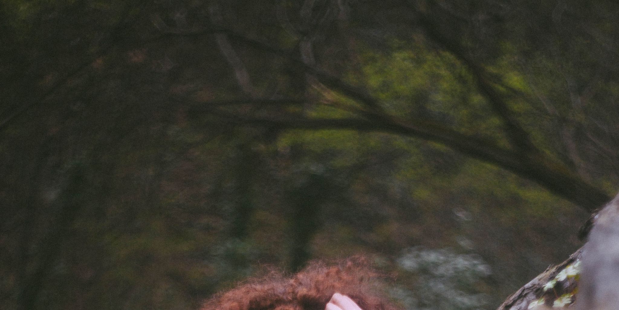 People in nature, Hair, Photograph, Beauty, Tree, Sitting, Photography, Leaf, Grass, Fashion, 