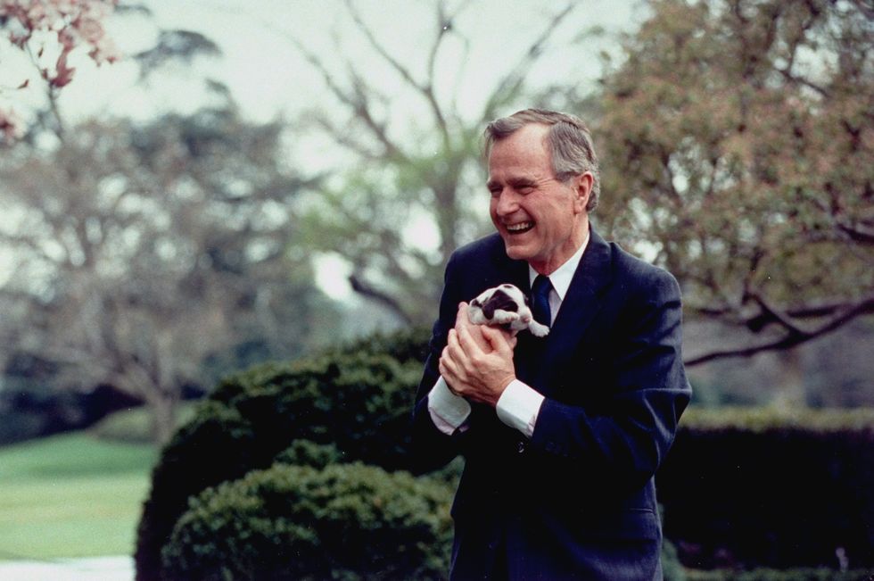 george h.w. bush holding millie's puppy