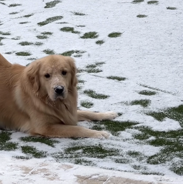 george had the cutest reaction to seeing snow for the first time