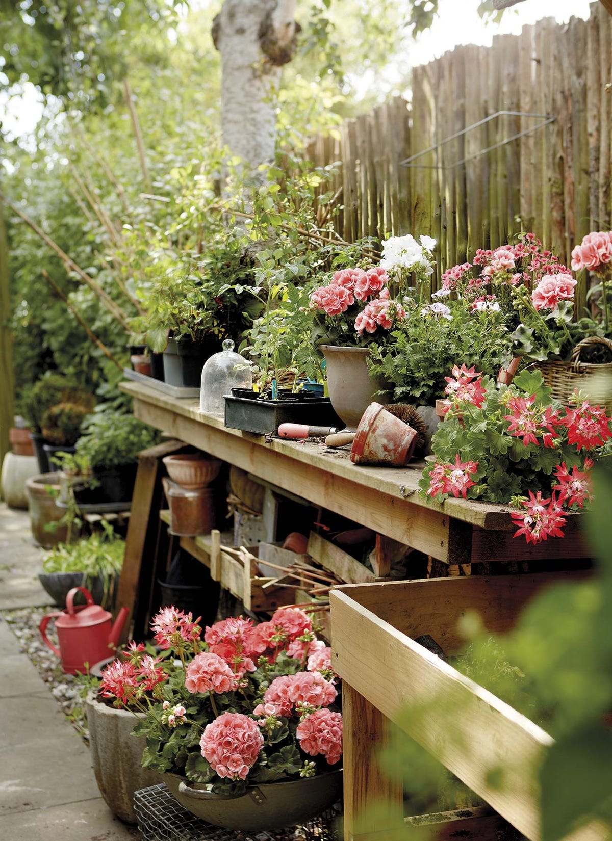 mujer haciendo jardinería