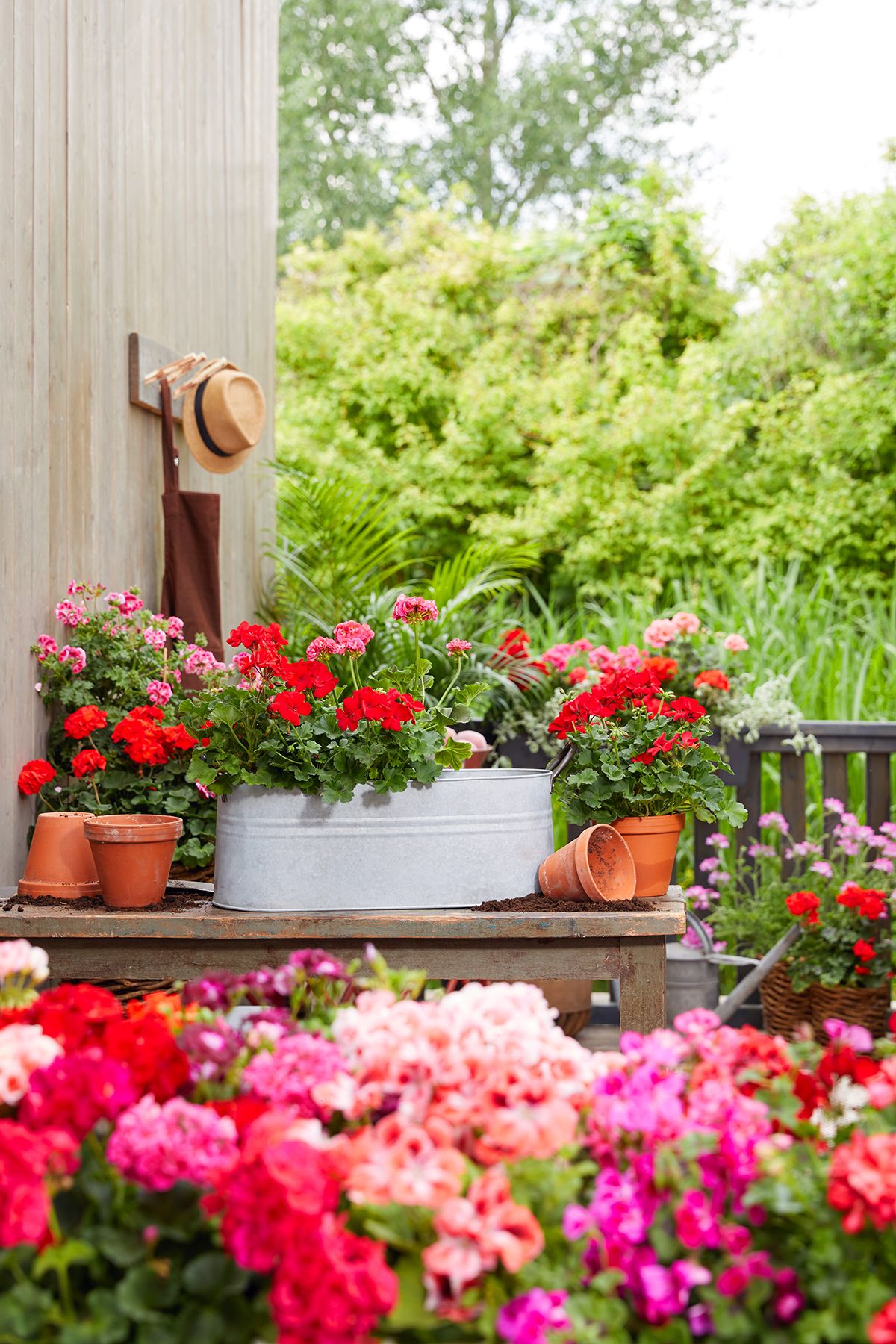 Jardineras de exterior para plantas de balcón y terraza