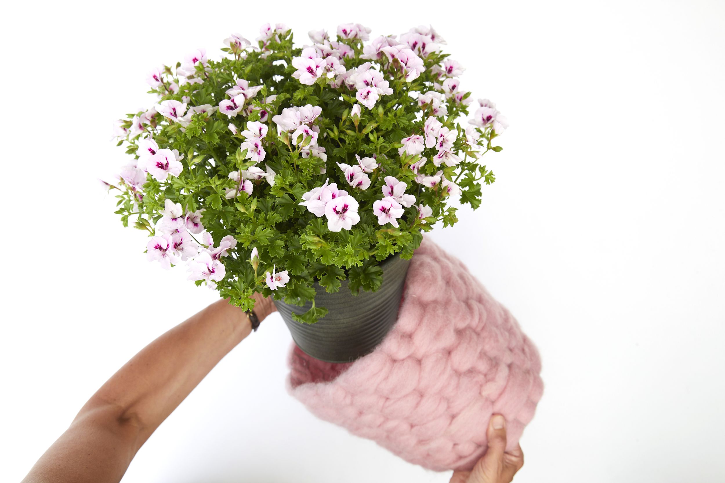 How To Make A Woolly Plant Pot Cover