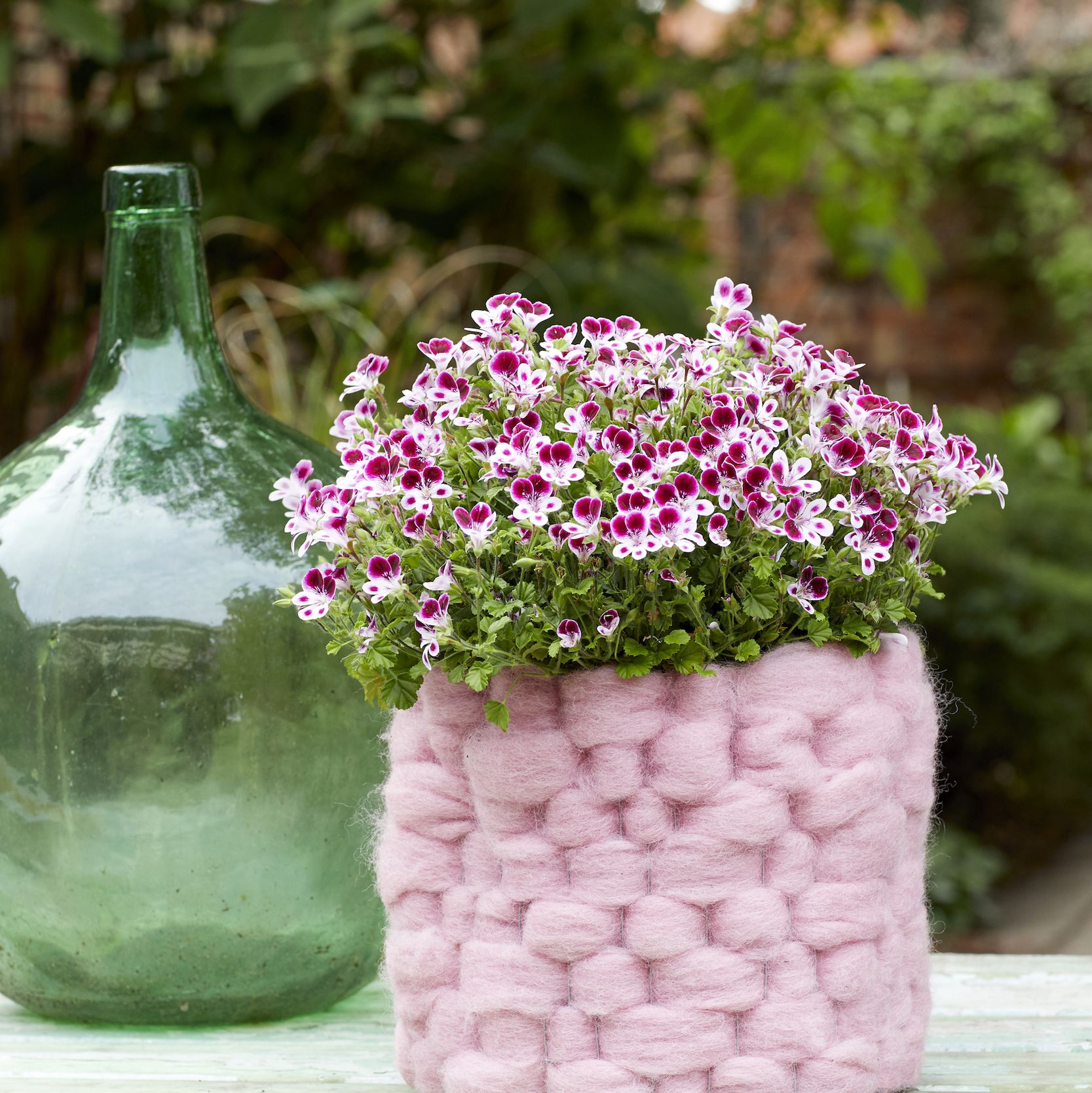 How To Make A Woolly Plant Pot Cover