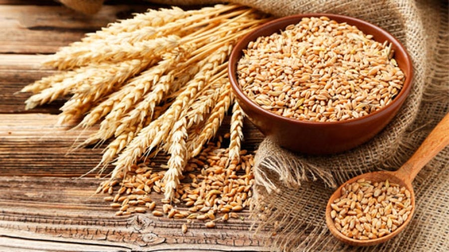 50 alimentos ricos en hierro