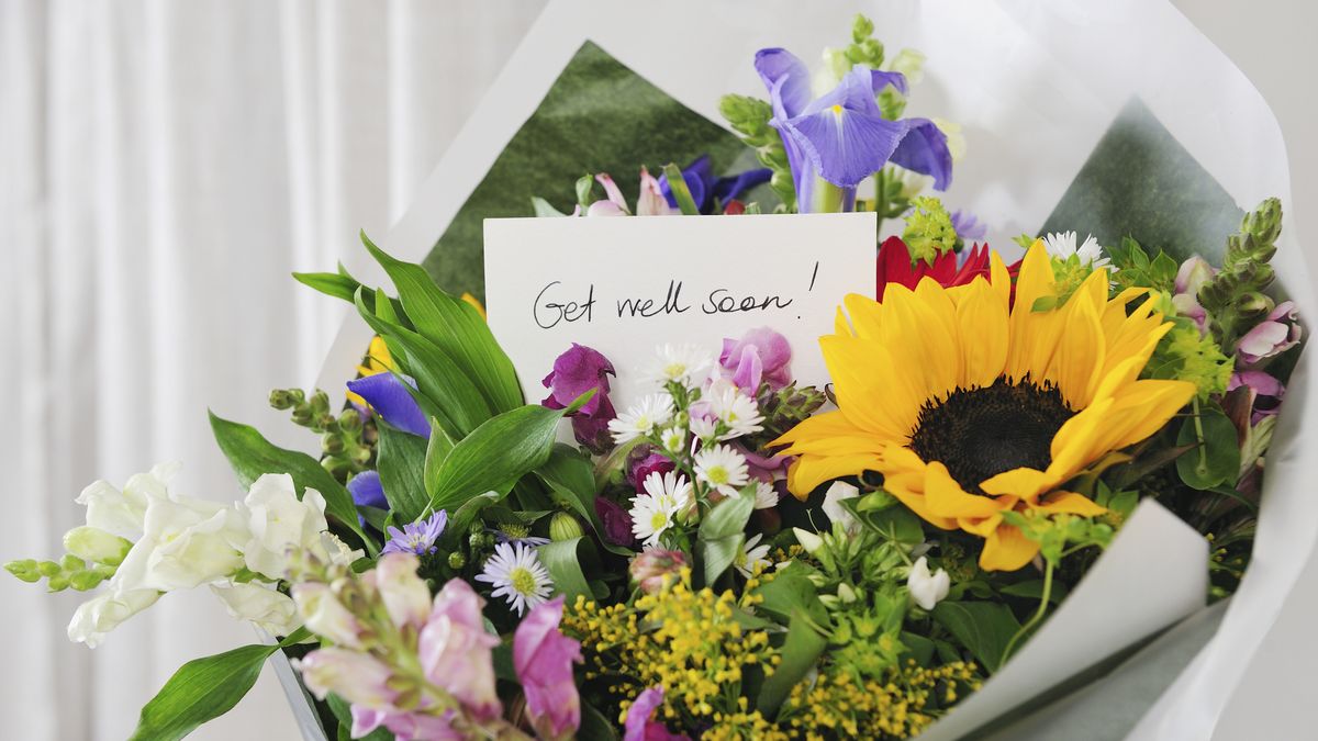 75 Best Get Well Soon Messages - What to Write in a Get Well Card