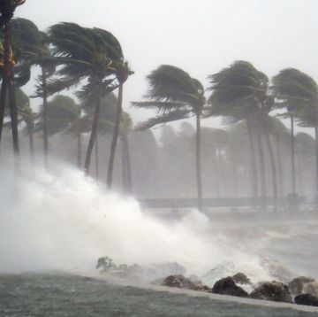 hurricane irma strikes south florida