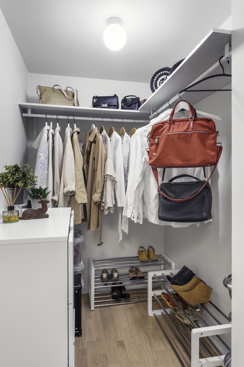 walk in closet ideas with shoe shelves and dresser