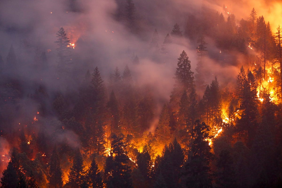 Ten westen van Redding in Californi vreet het dodelijke Carr Fire zich op 30 juli 2018 door de bossen De uitgestrekte bosbrand veroorzaakte ook een reusachtige vuurkolk met de kracht van een F3tornado