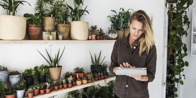 Female owner of plant shop standing next to a selection of plants on wooden shelves, holding digital tablet.