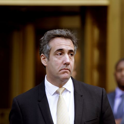 Former Trump Lawyer Michael Cohen Enters Plea Deal Over Tax And Bank Fraud And Campaign Finance Violations
