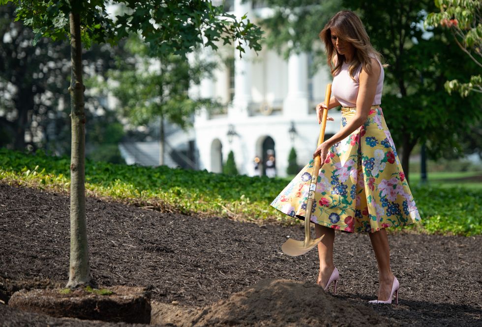 Melania Trump vestida de Valentino para plantar un árbol en la Casa Blanca