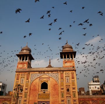 Landmark, Mosque, Holy places, Sky, Building, Place of worship, Architecture, Historic site, Bird, Pigeons and doves, 