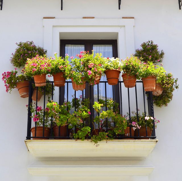 beautiful balconies with typical flowers in grazalema in the sierra de cadiz in andalucia spain