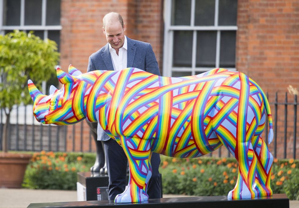 The Duke Of Cambridge Attends 'The Tusk Rhino Trail' Celebration
