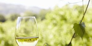 el vino blanco que recomienda el mejor sumiller de portugal es un espléndido albariño de poco más de 15 euros