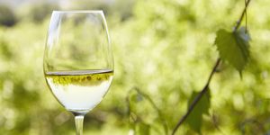 el vino blanco que recomienda el mejor sumiller de portugal es un espléndido albariño de poco más de 15 euros