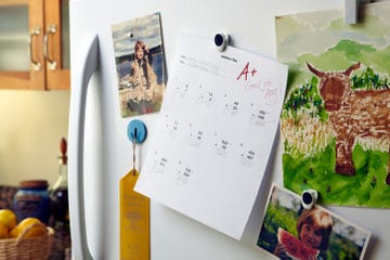 Room, Refrigerator, Interior design, 