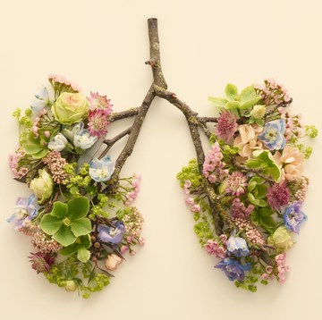 spring flowers representing human lungs, conceptual studio shot
